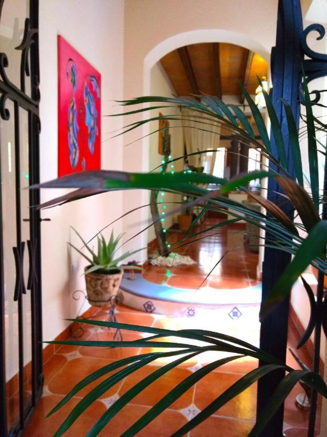 Pozzito Boutique Acomodação com café da manhã San Miguel de Allende Exterior foto